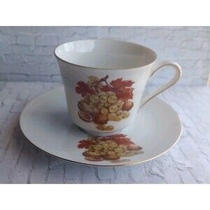 Vintage Bareuther Waldsassen Fruit & Nuts Porcelain Tea Cup and Saucer Gold Trim